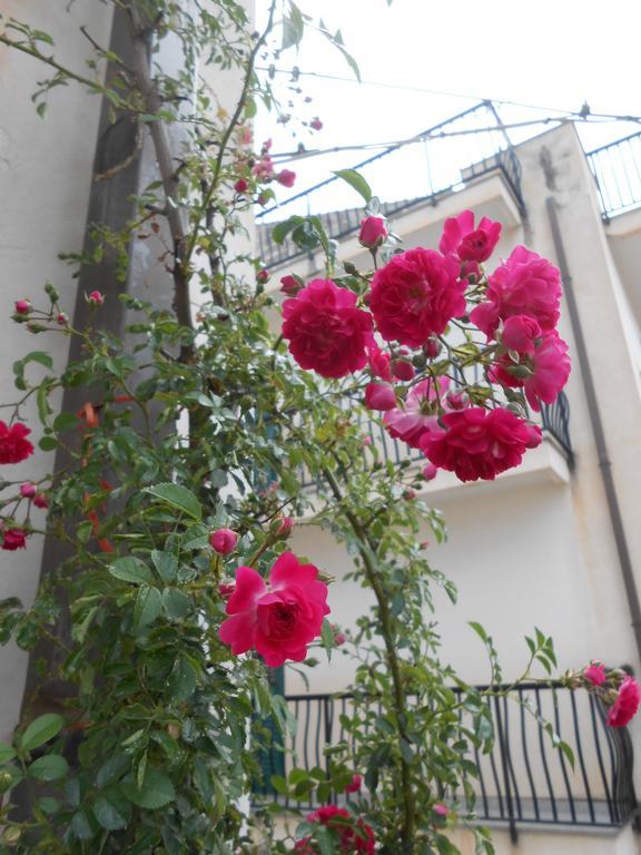 Canton Delle Rose Apartment Scicli Ngoại thất bức ảnh